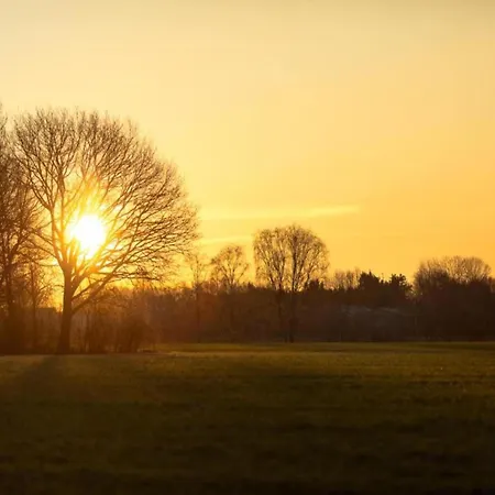 In Brabant With Spacious Garden 费尔德霍芬