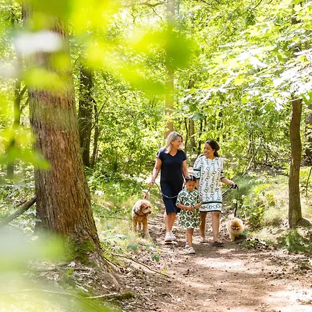 In Brabant With Spacious Garden 木屋