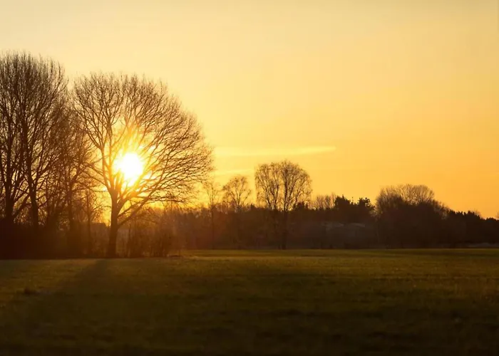 In Brabant With Spacious Garden Veldhoven
