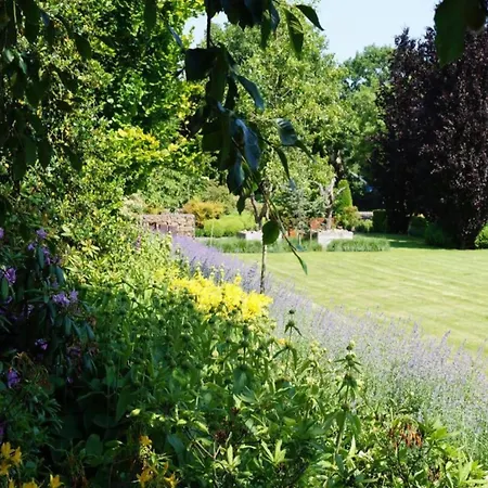شاليه In Brabant With Spacious Garden فيلتهوفين