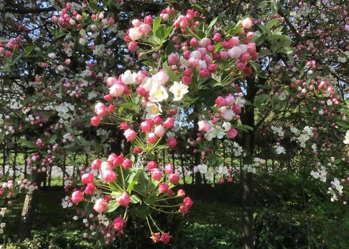 In Brabant With Spacious Garden شاليه