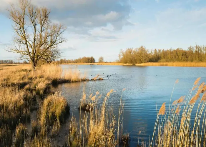 شاليه In Brabant With Spacious Garden