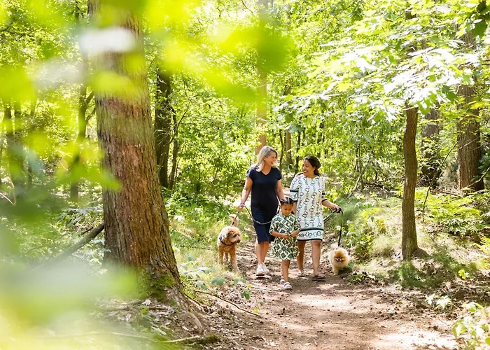 In Brabant With Spacious Garden شاليه