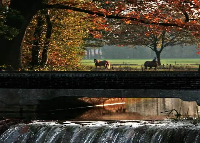 In Brabant With Spacious Garden شاليه فيلتهوفين