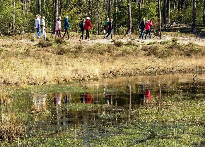 In Brabant With Spacious Garden *